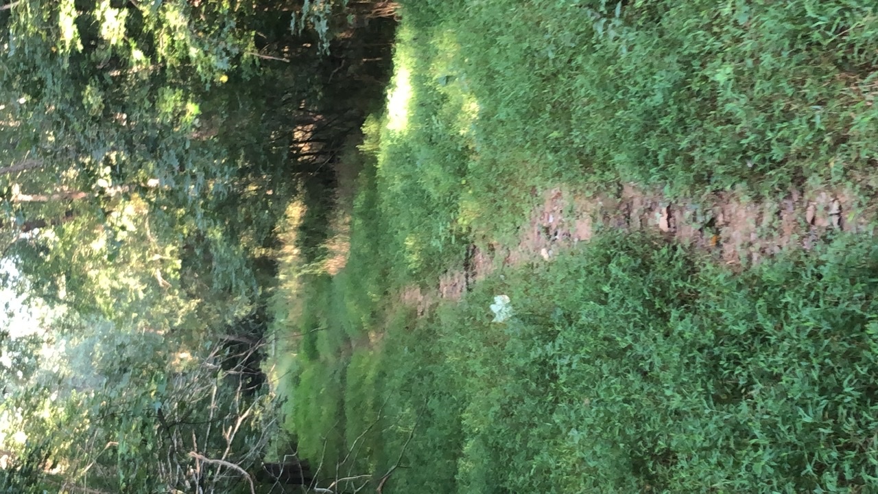 ObsceneTranquilty OnlyFans