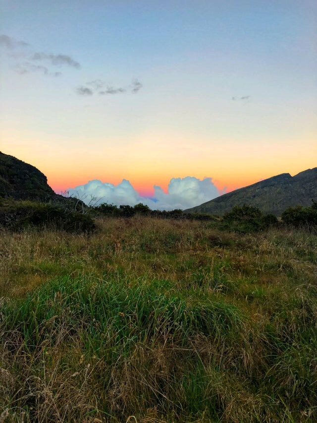 ObsceneTranquilty OnlyFans header