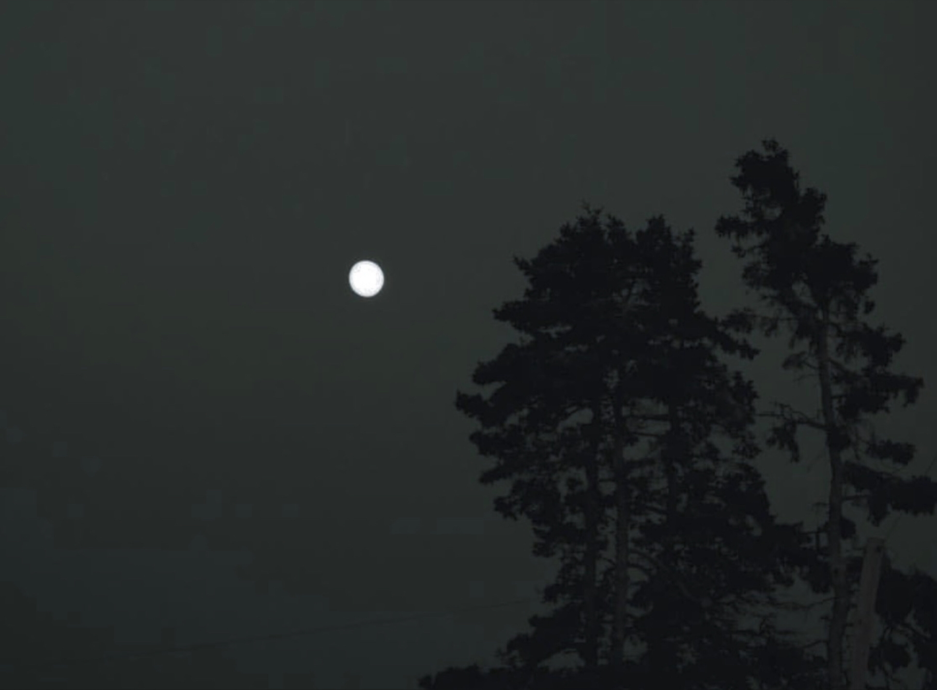 Hogan OnlyFans header