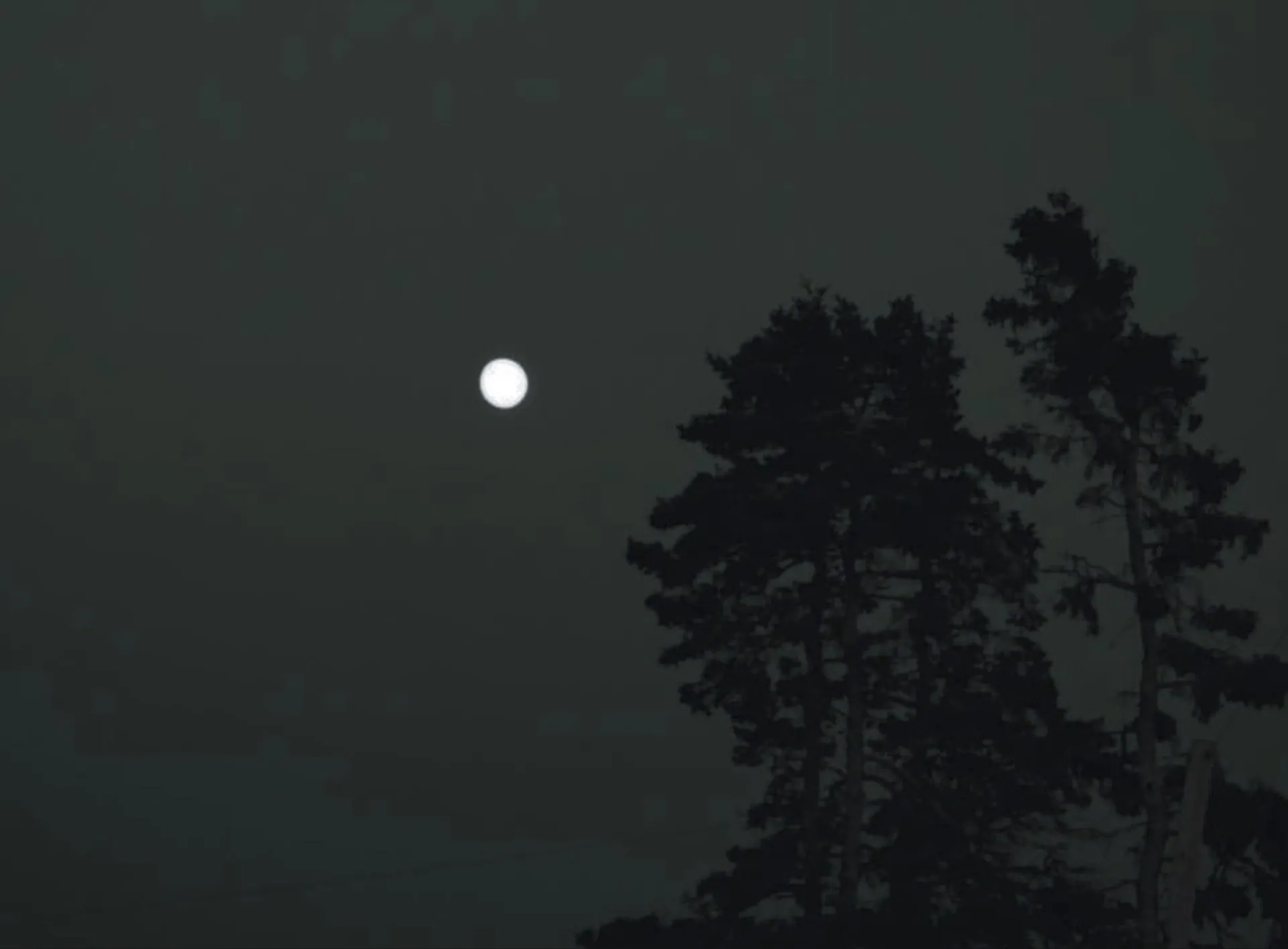 Hogan OnlyFans header