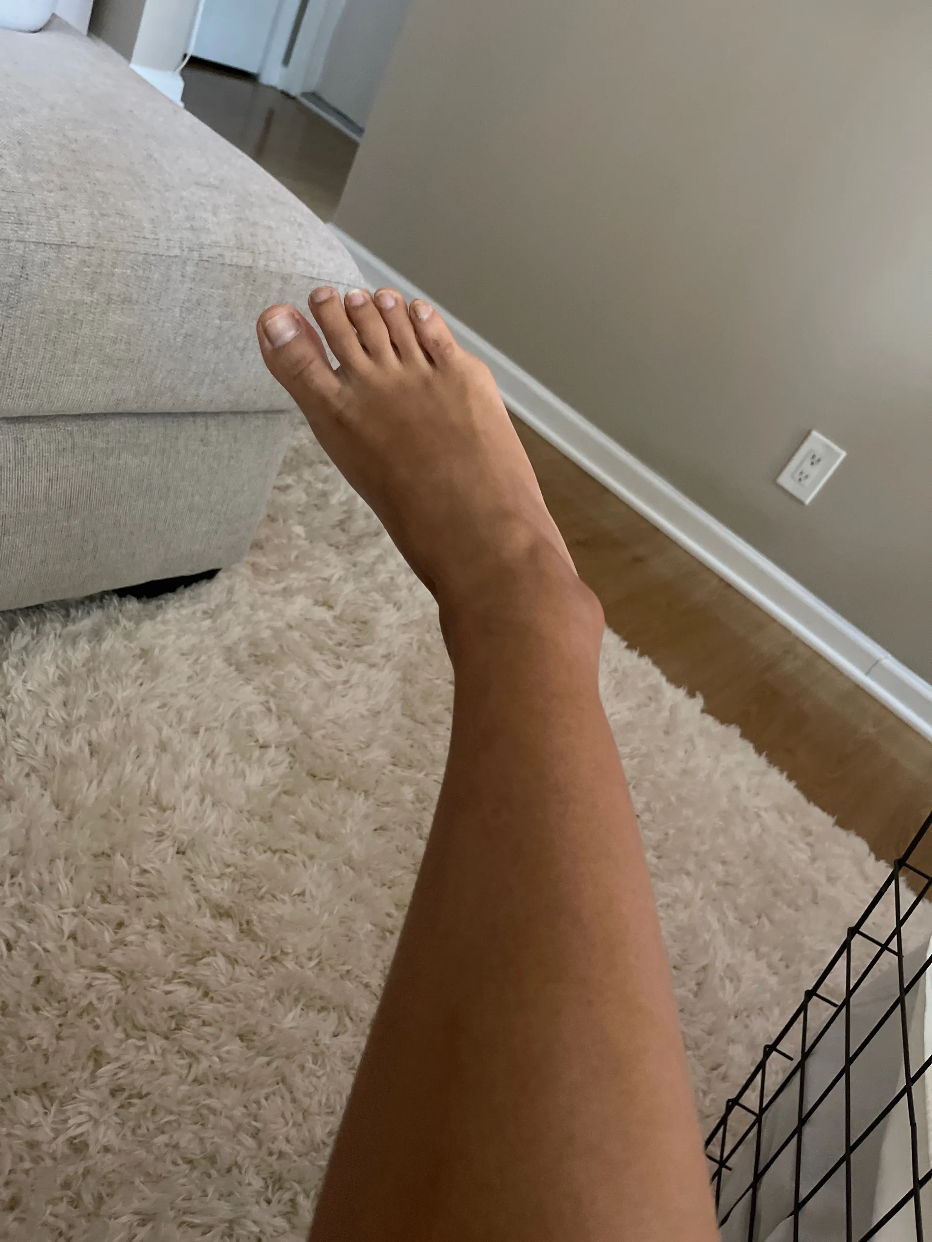 Just Feet OnlyFans header