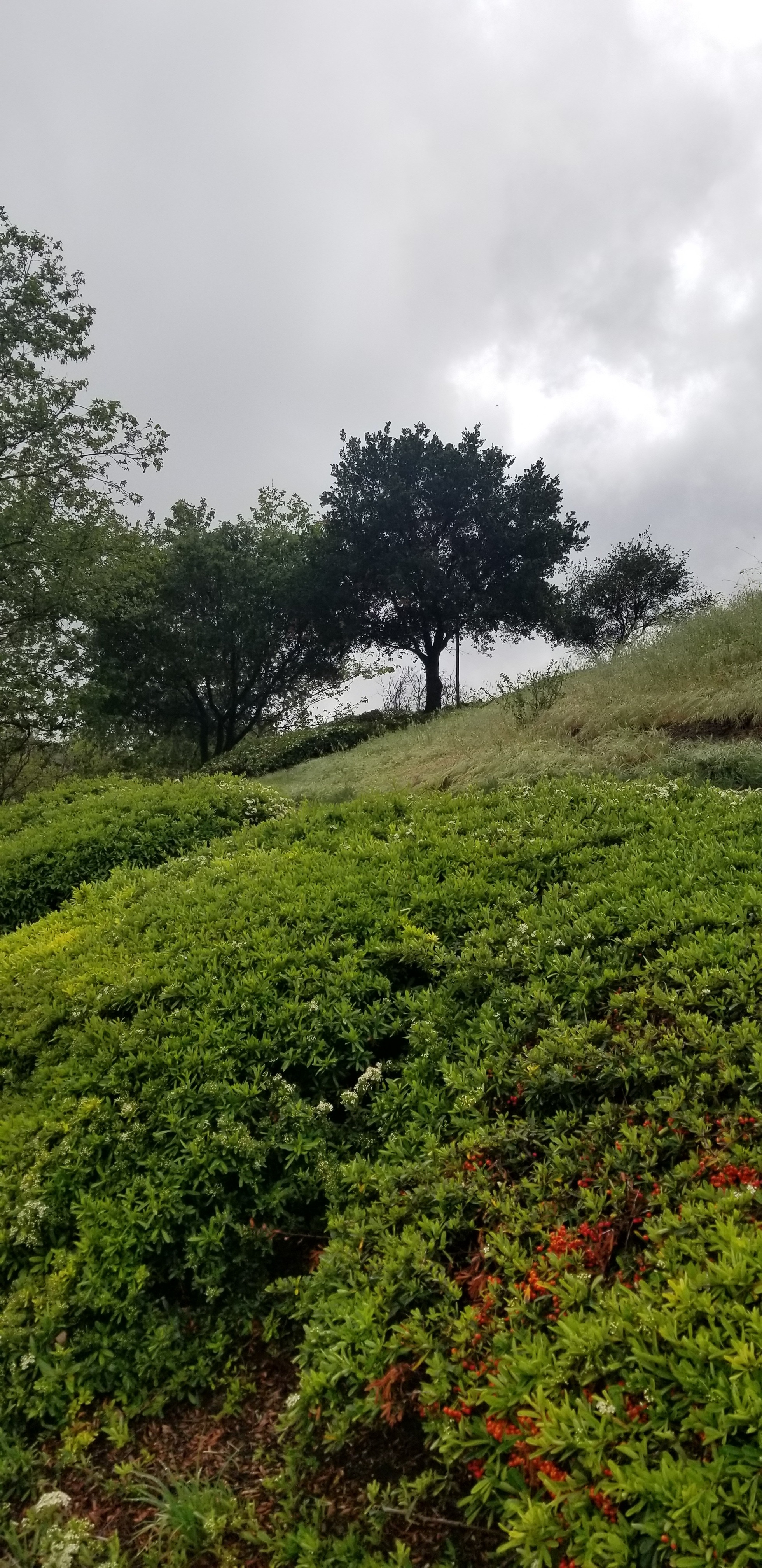 u228062620 OnlyFans header