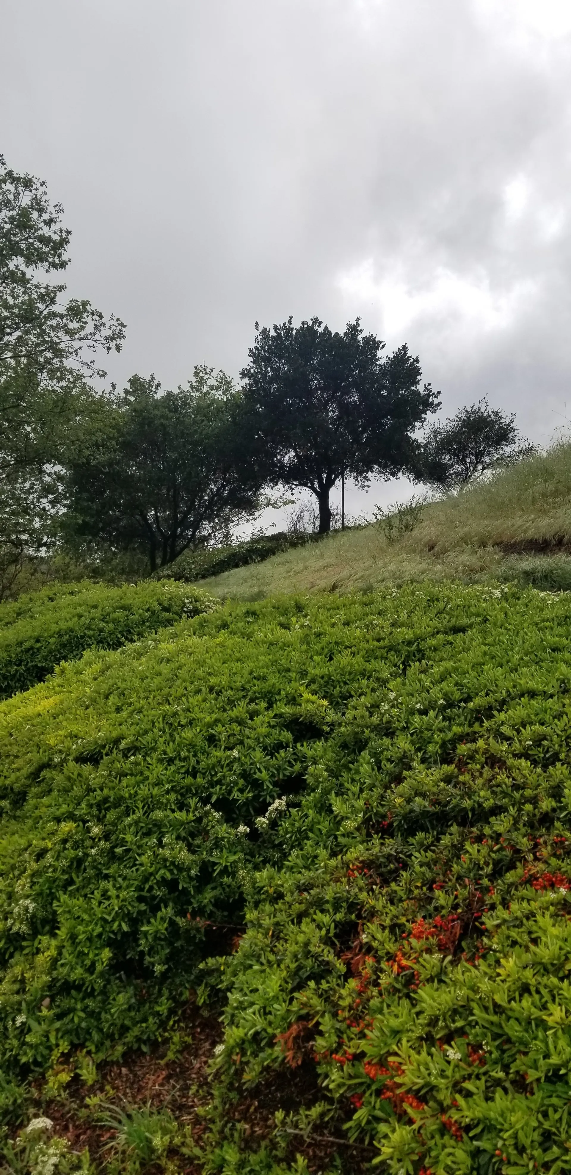 u228062620 OnlyFans header