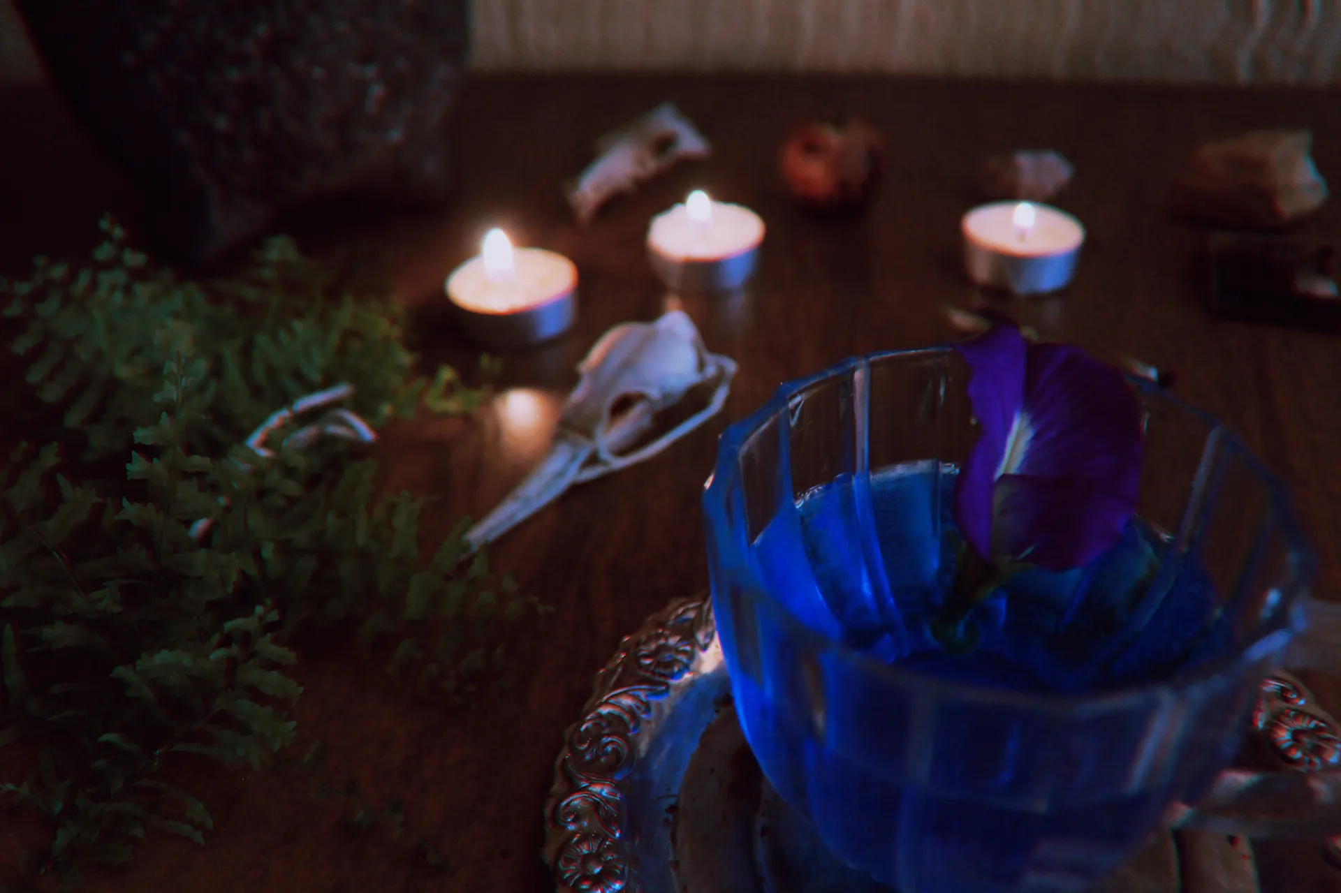 Ocean Agate OnlyFans header