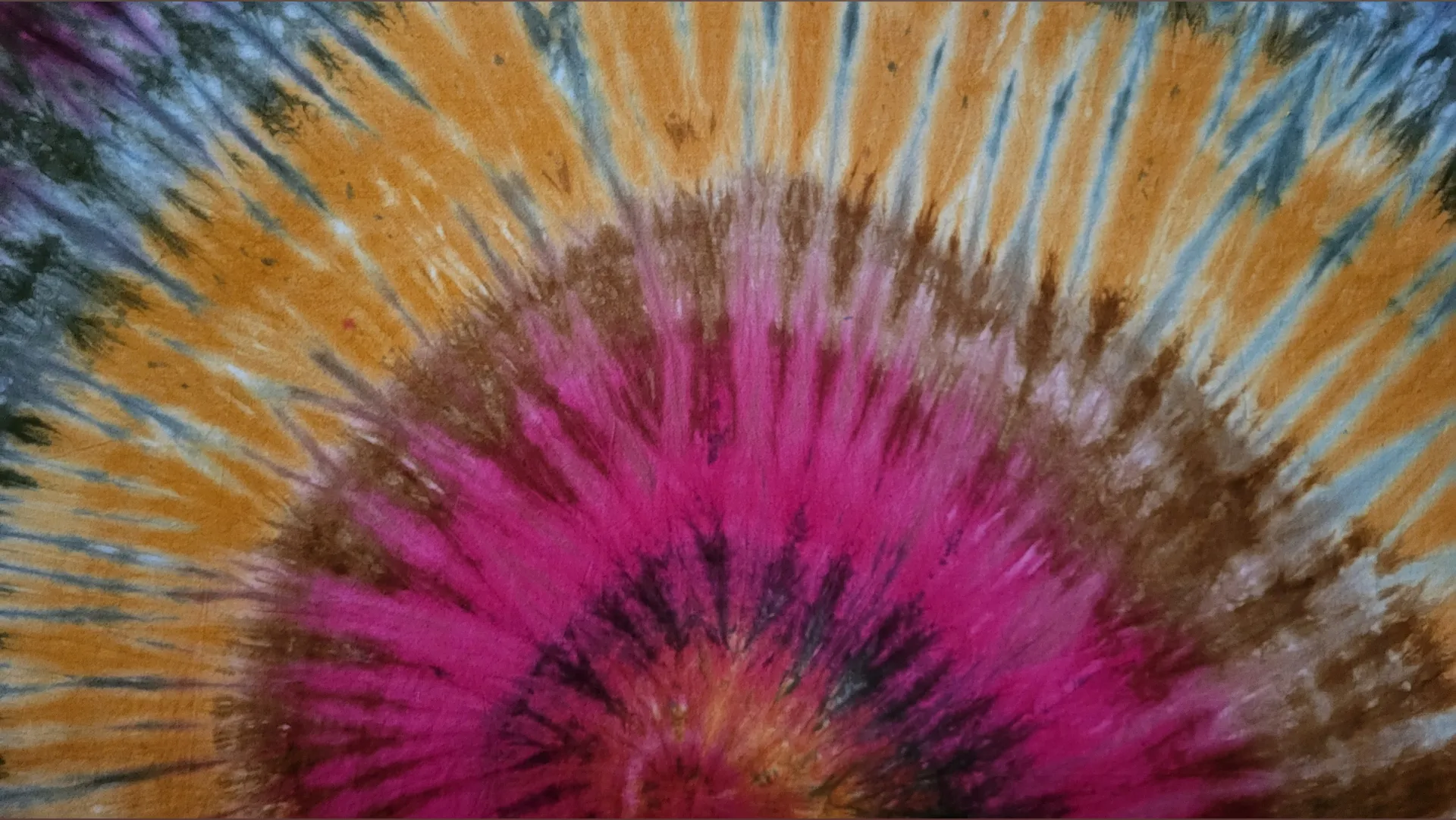 Oceana OnlyFans header