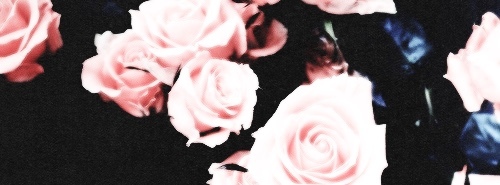 Blondie☀️ OnlyFans header