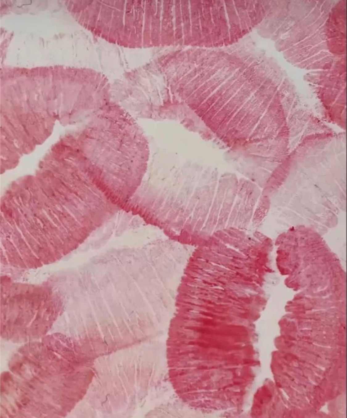 oceanblueskys OnlyFans header