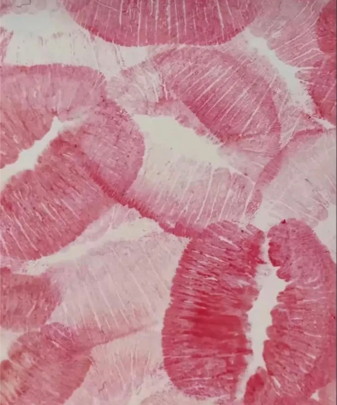 oceanblueskys OnlyFans header