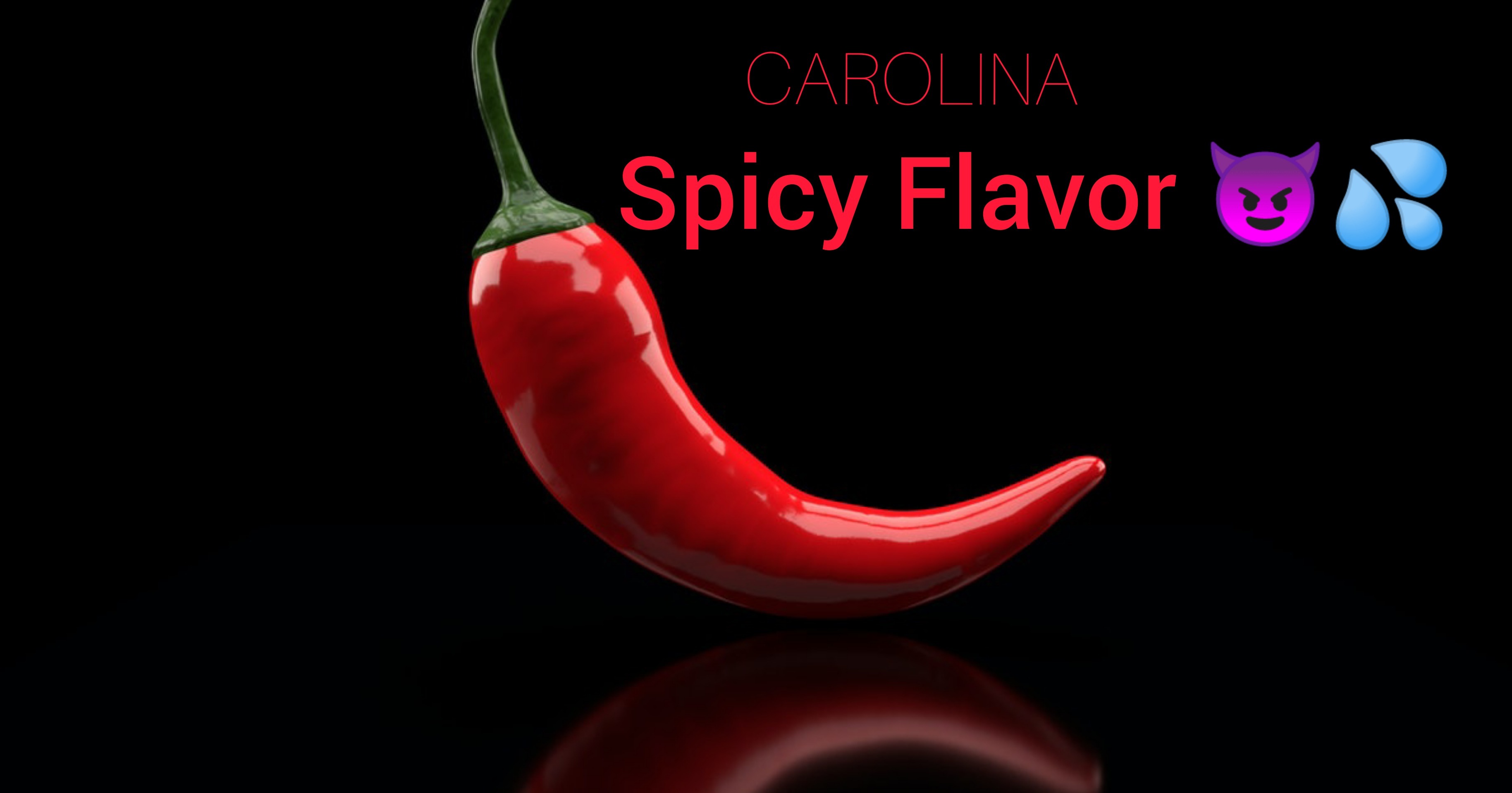 Oceancarolina OnlyFans header