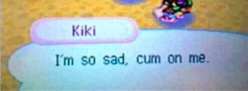 ocean cats OnlyFans header