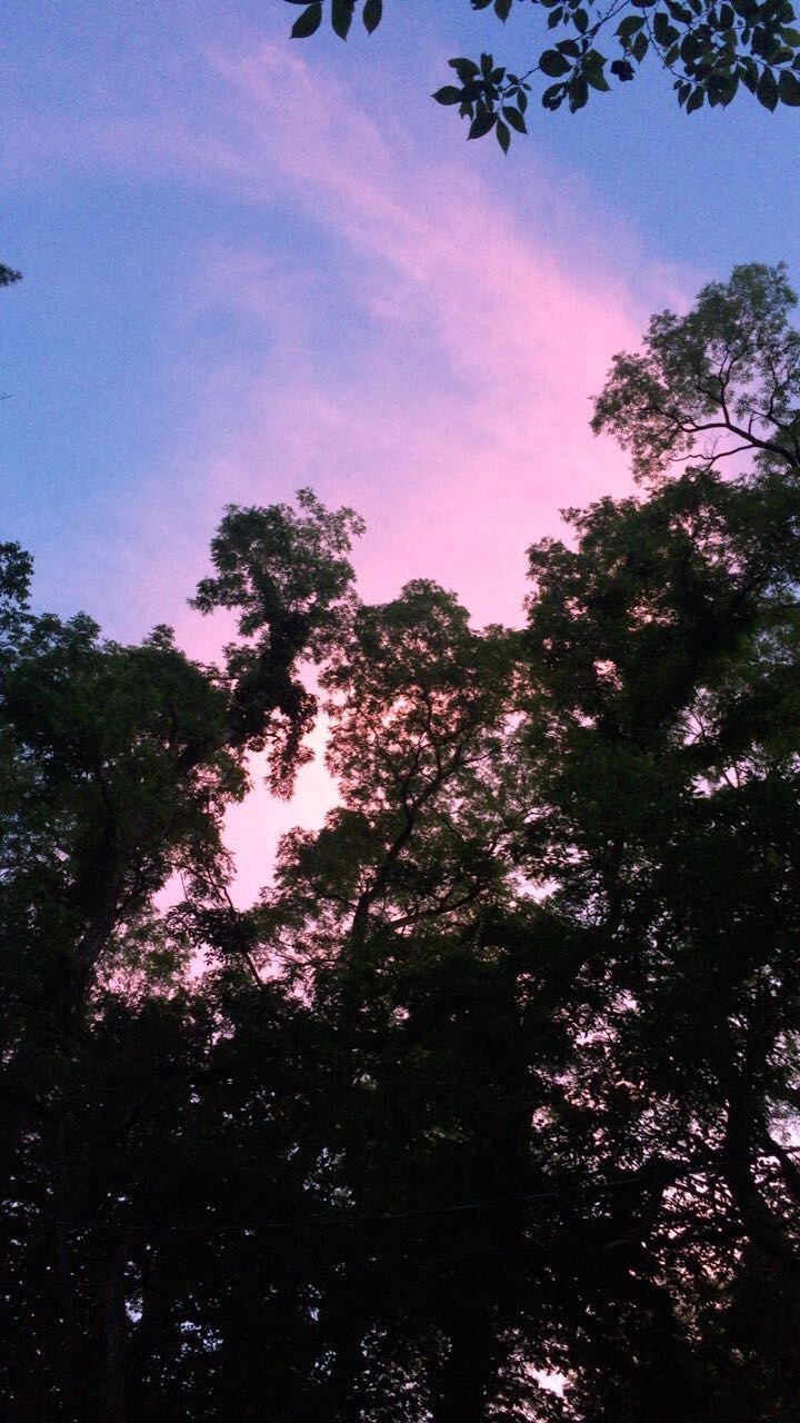 morgan:) OnlyFans header