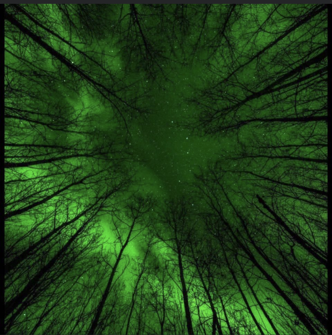 Ocean Irving OnlyFans header