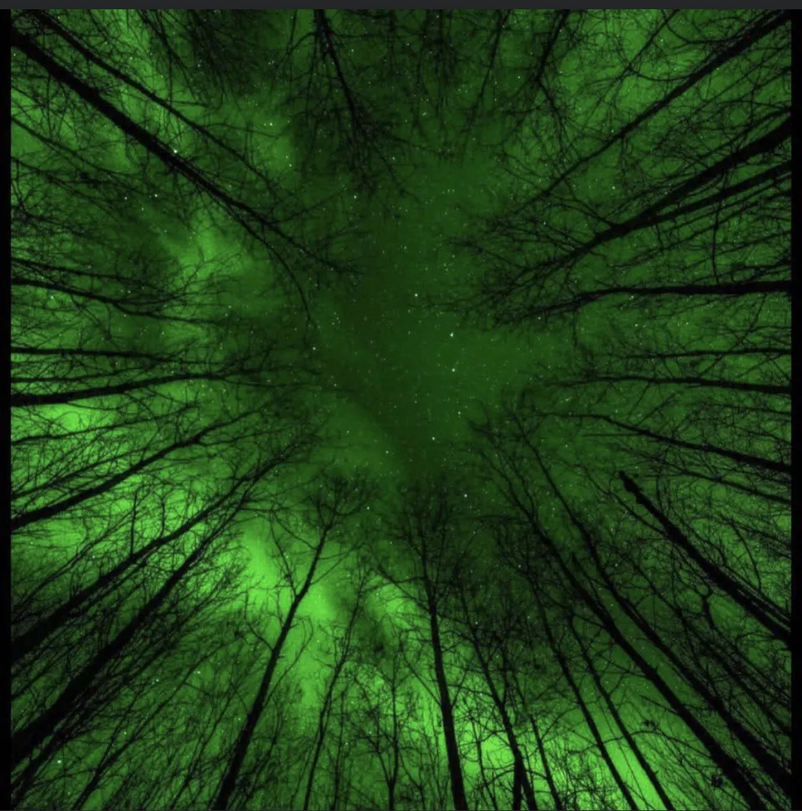 Ocean Irving OnlyFans header