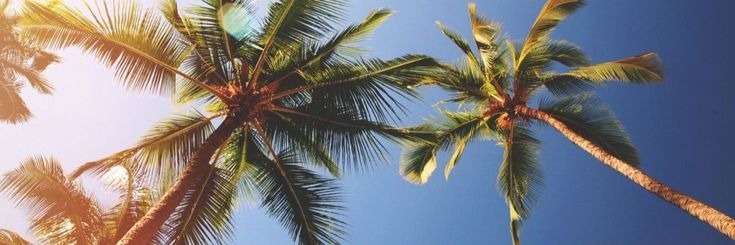 Ocean OnlyFans header