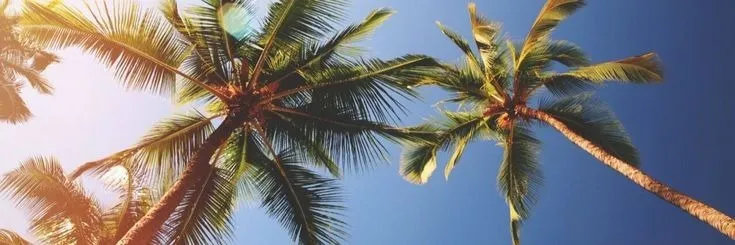 Ocean OnlyFans header