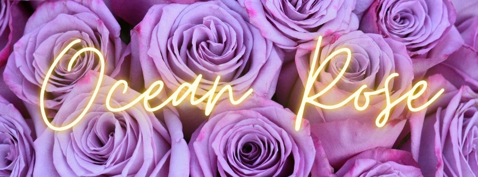 Ocean Rose OnlyFans header
