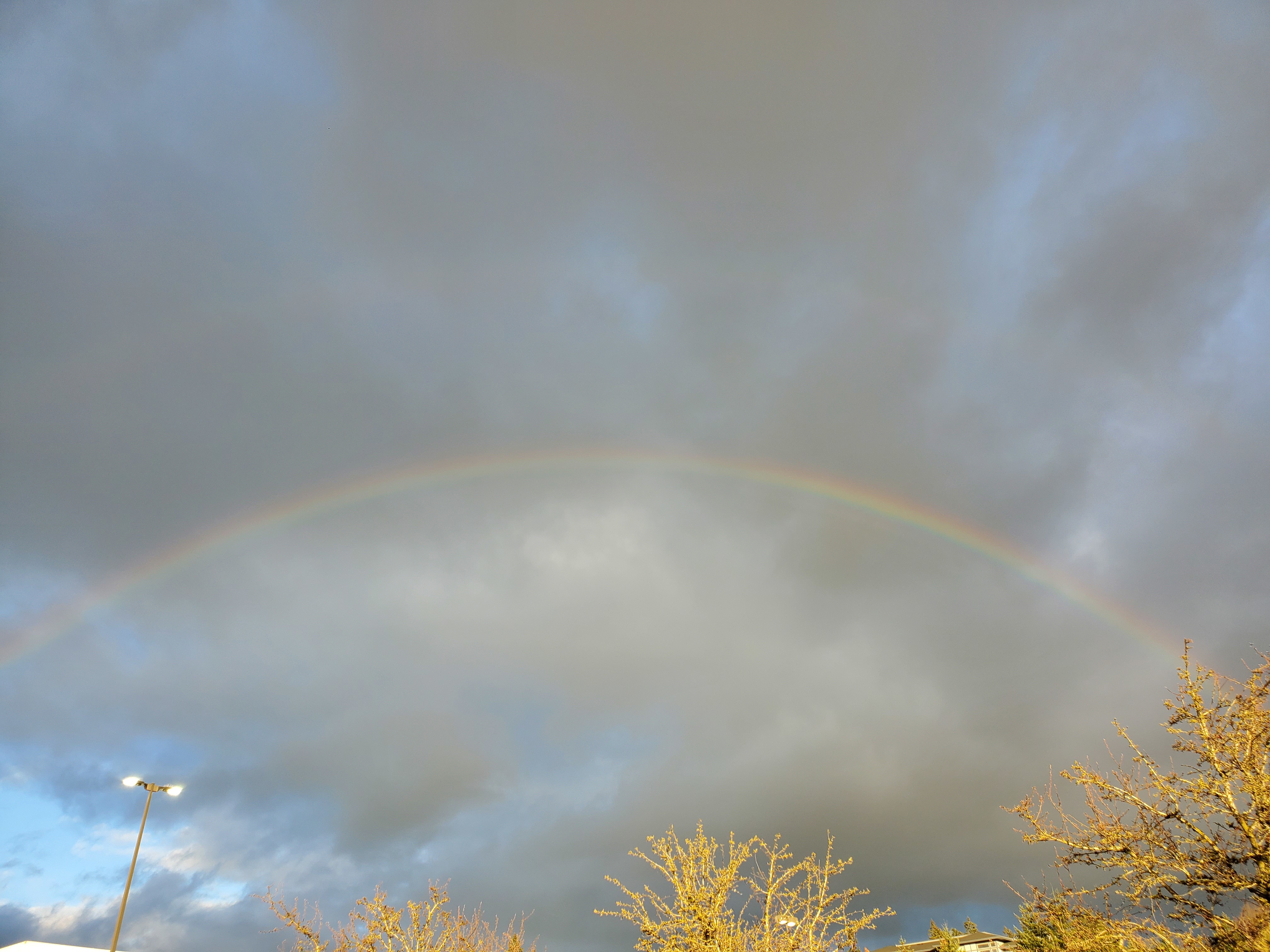 Heirial OnlyFans header