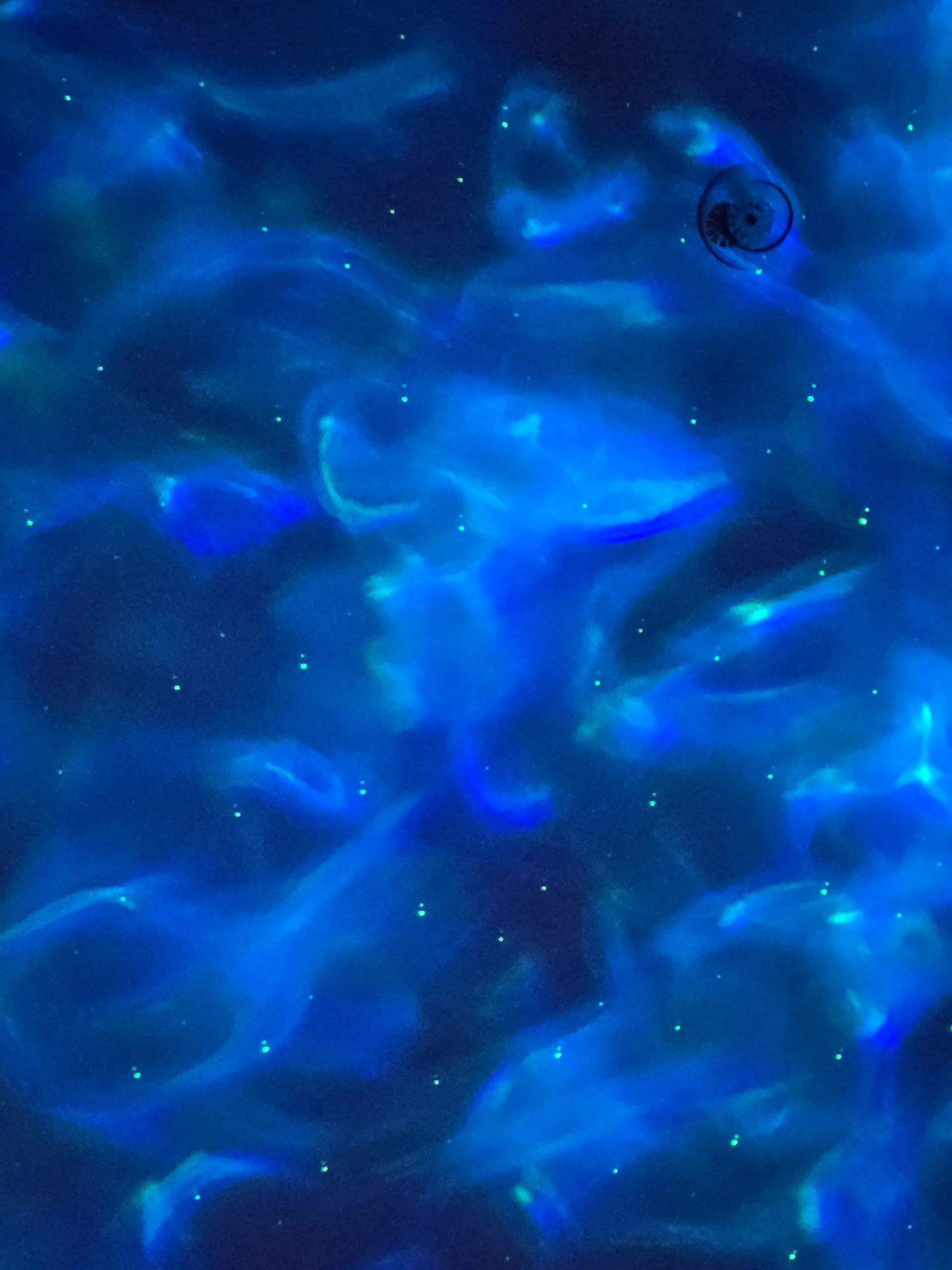 OctoberRose OnlyFans header