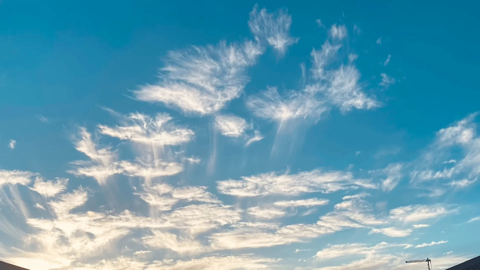 October Rubii OnlyFans header