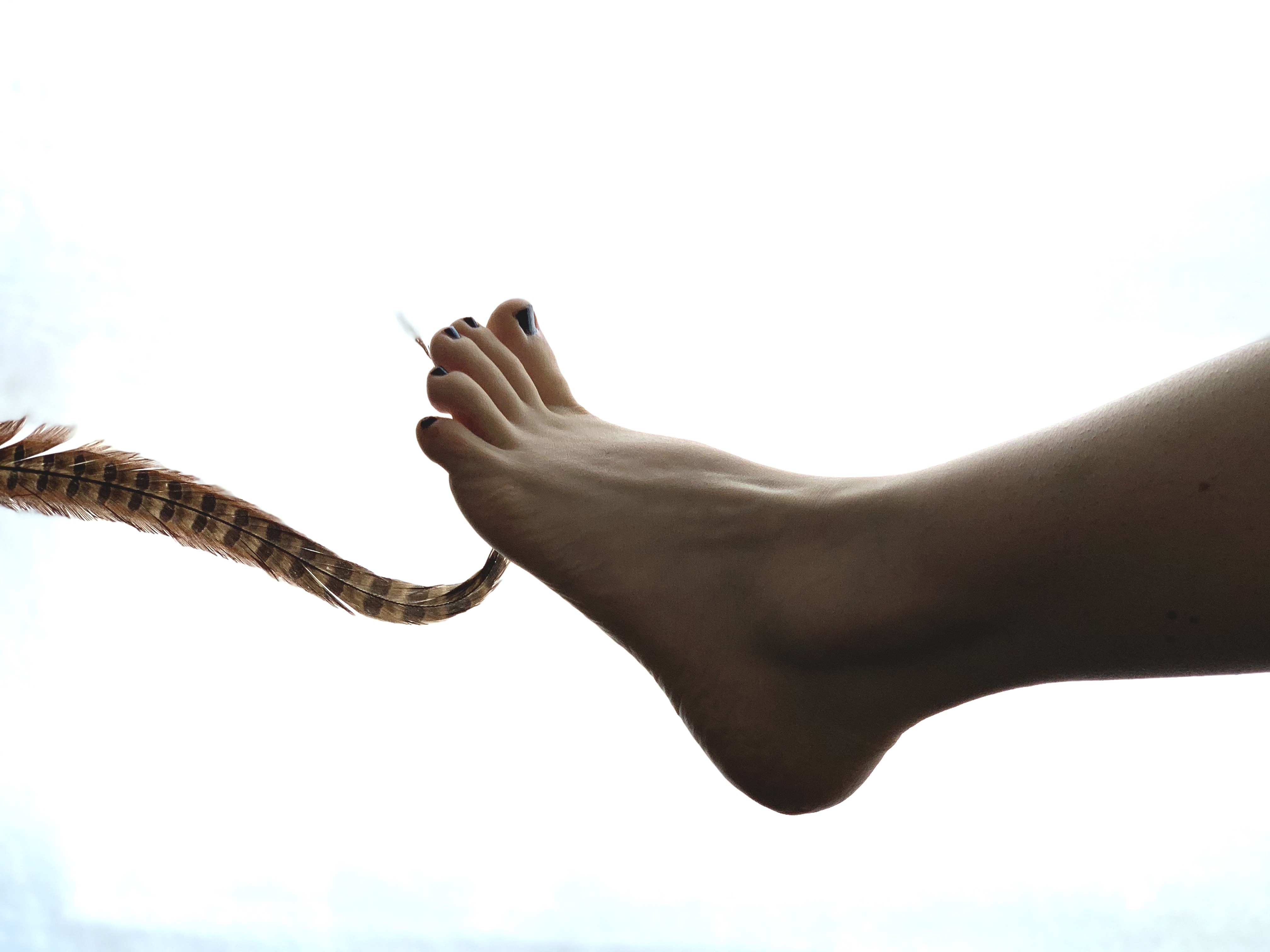 OctopusTkStudio OnlyFans