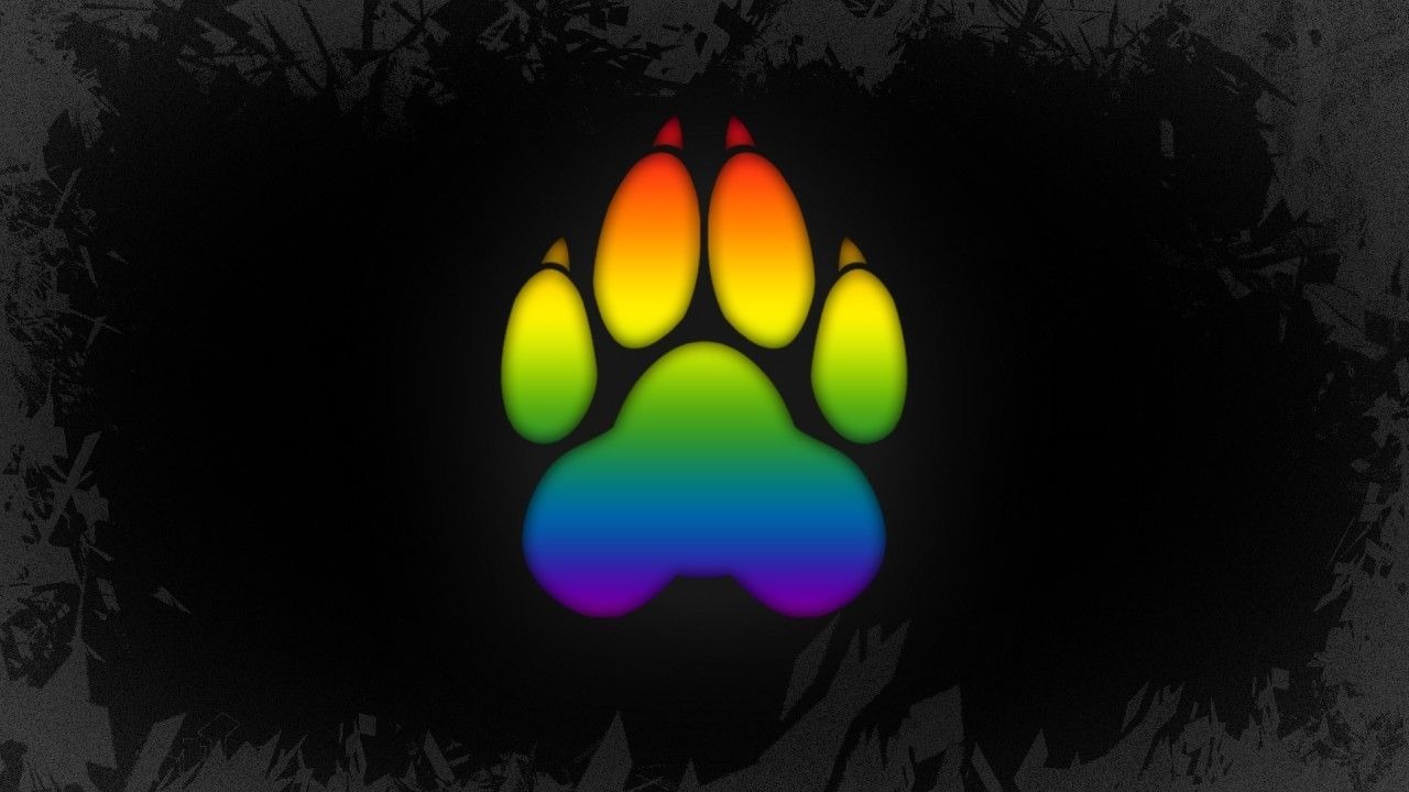 UC-Bear OnlyFans header