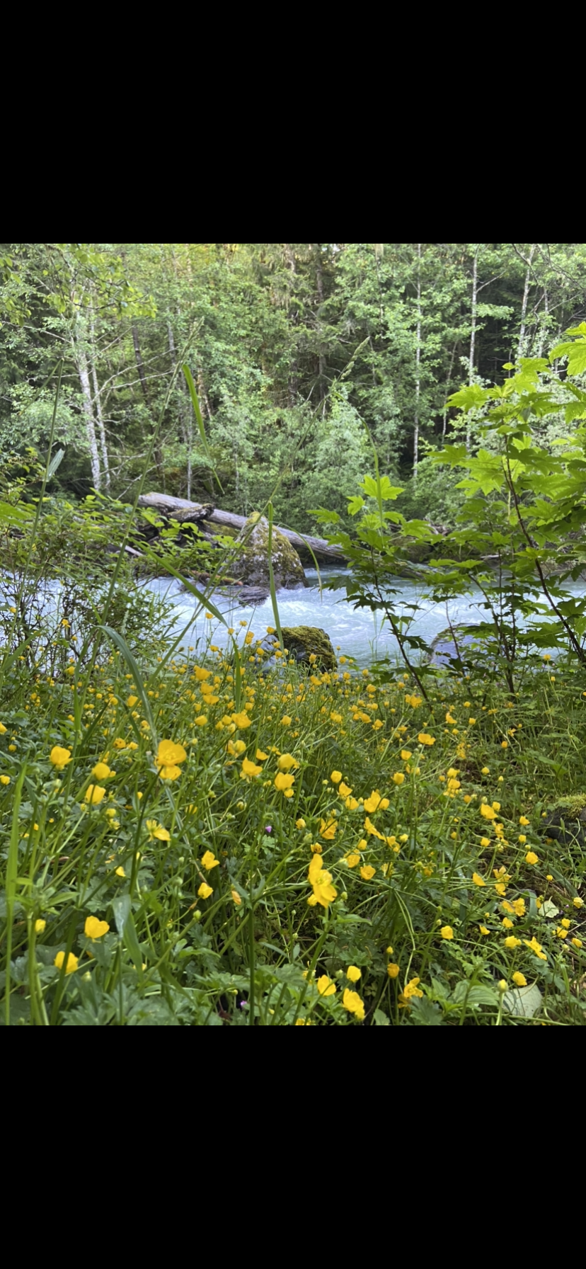 Jill OnlyFans header