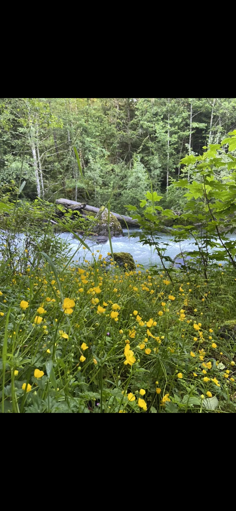 Jill OnlyFans header