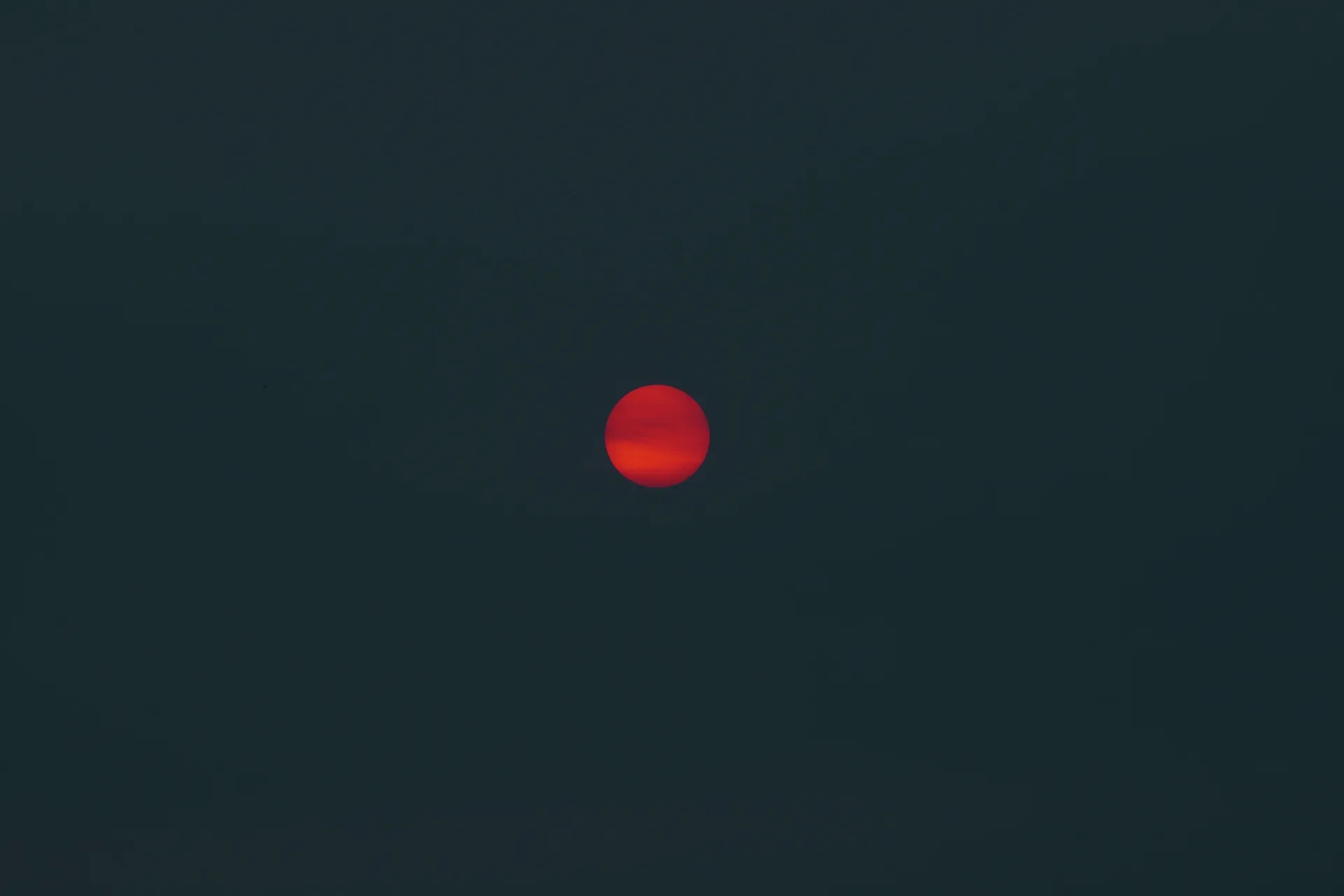 oddhoney OnlyFans header