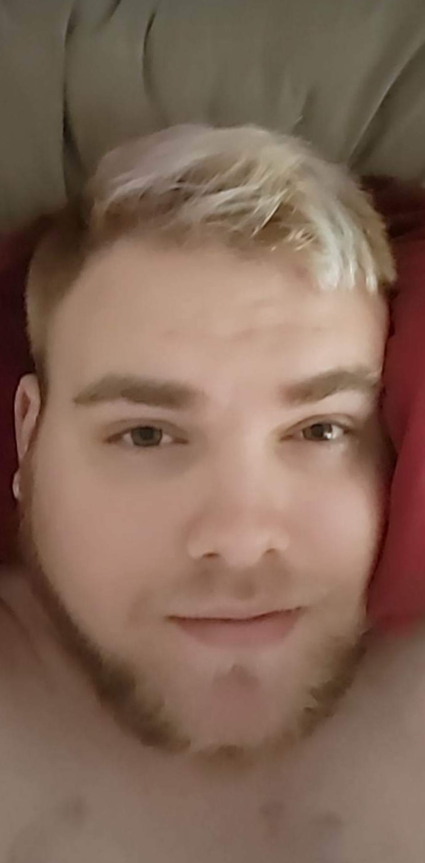 PigBearOddly OnlyFans