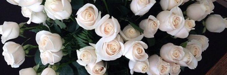 Odeth OnlyFans header