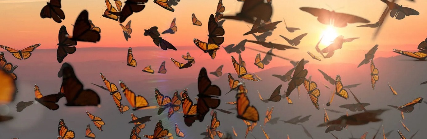 Odezza Dior ✨ OnlyFans header