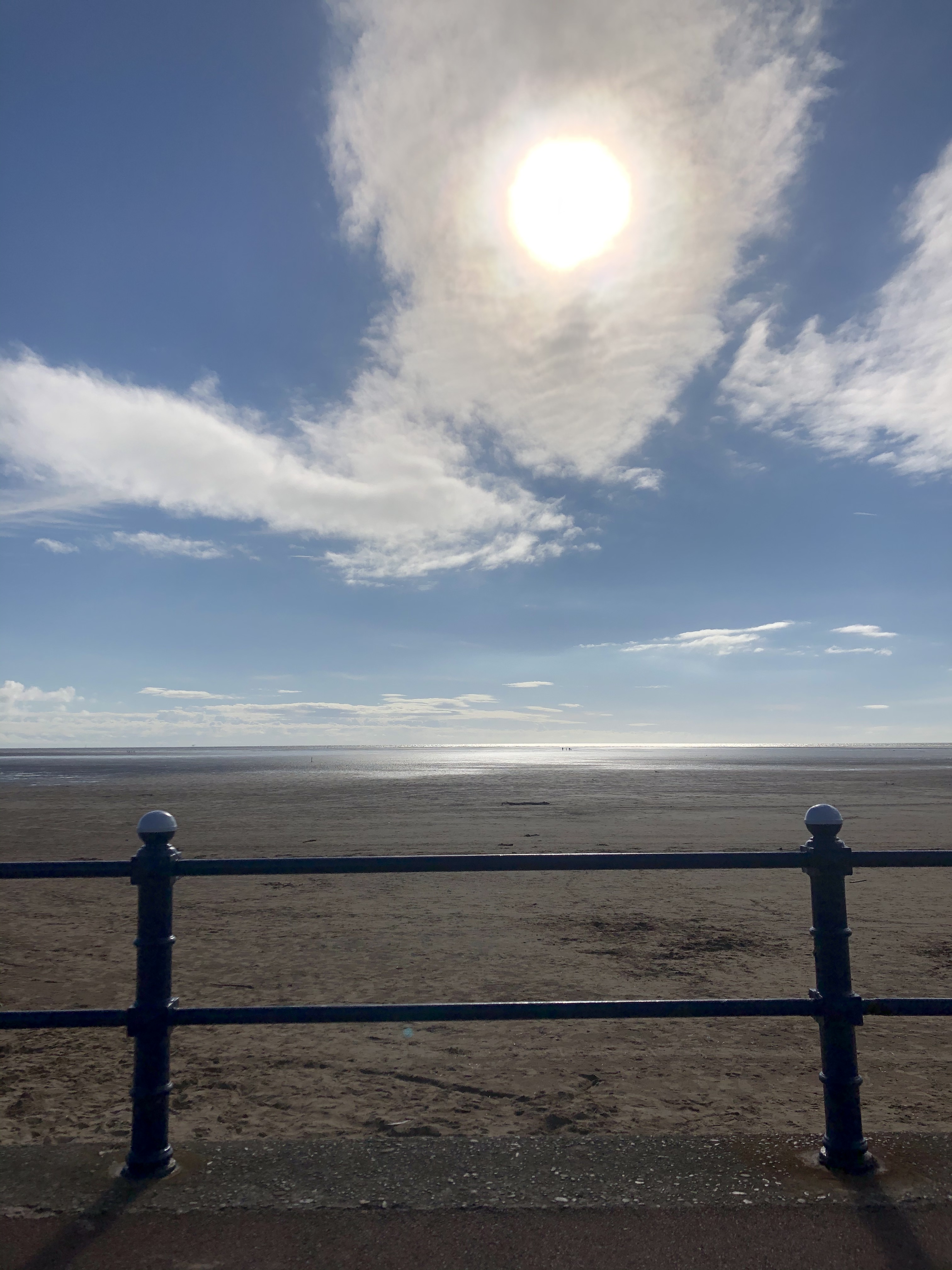 Odie OnlyFans header