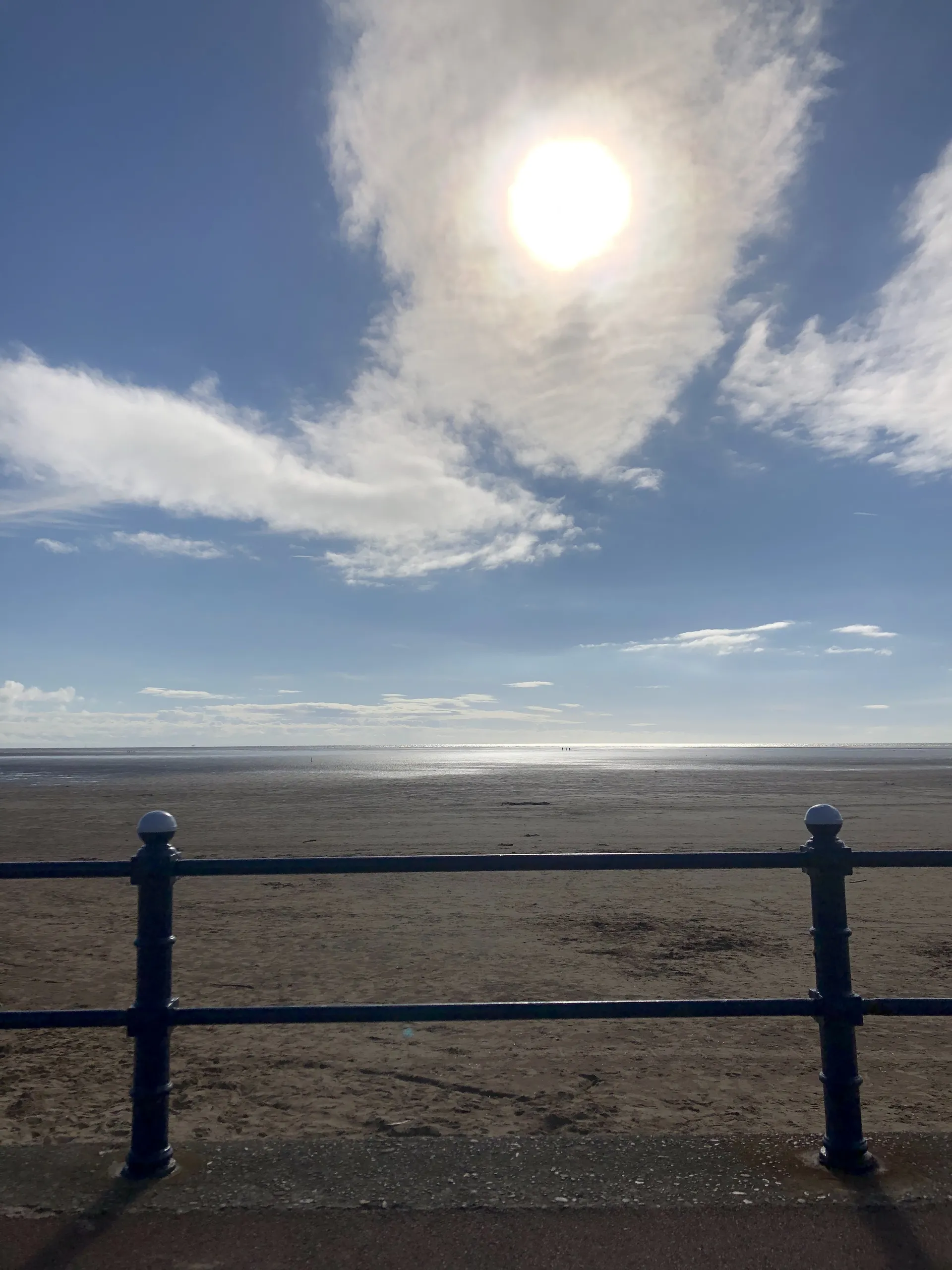 Odie OnlyFans header