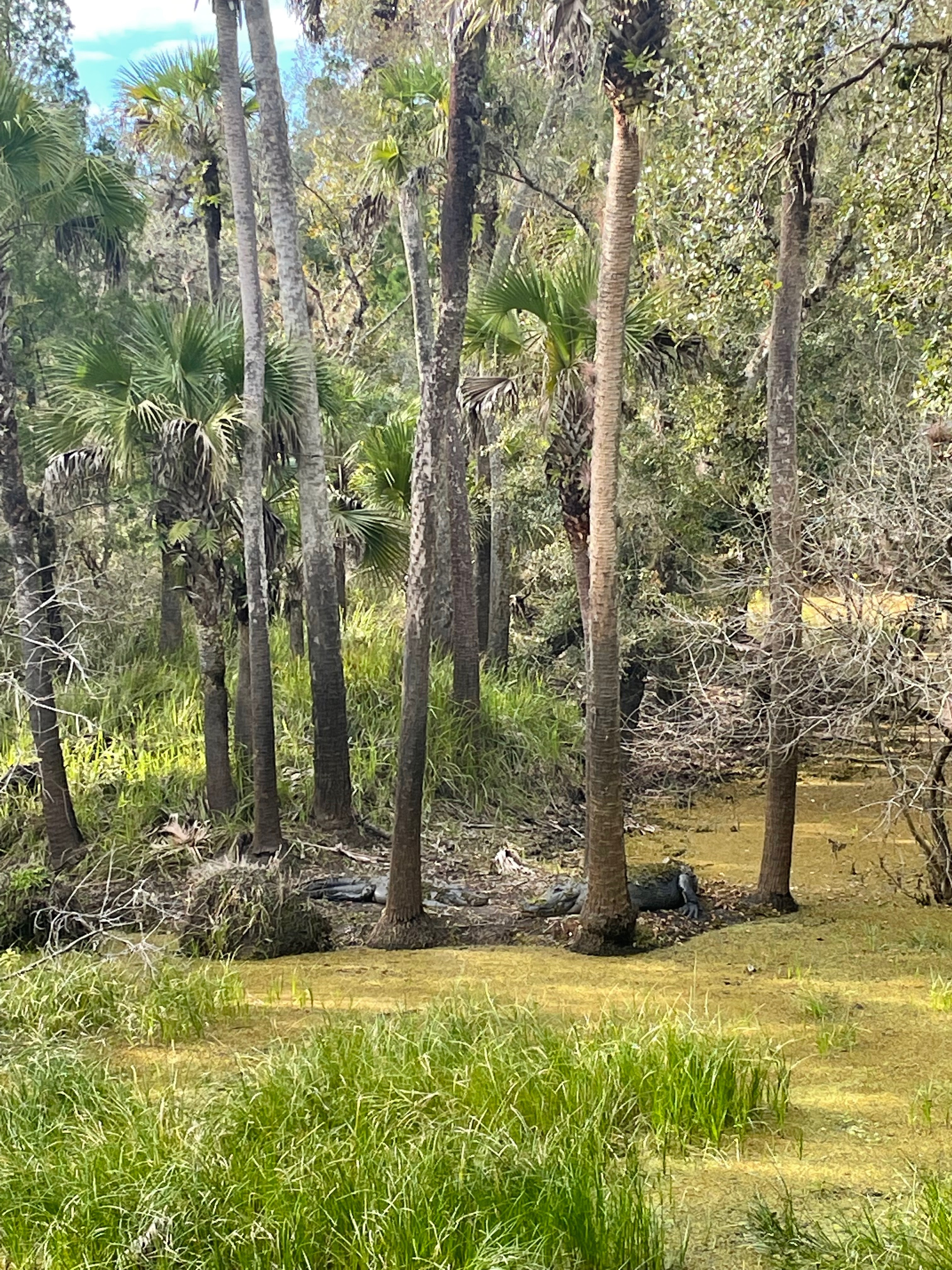 odysseus OnlyFans header