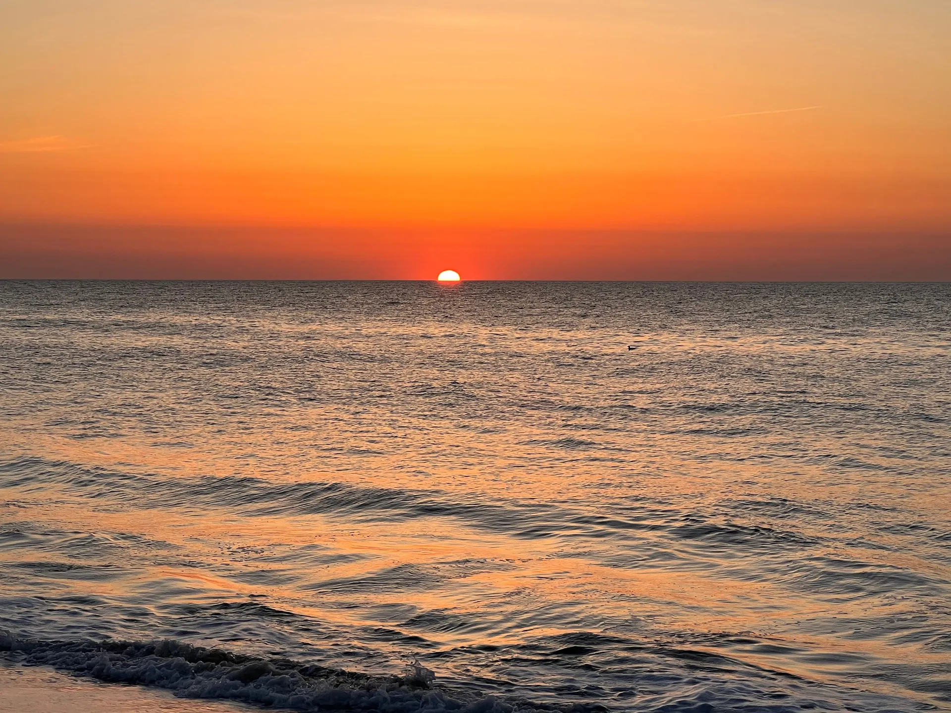 Angel Lynn <3 OnlyFans header