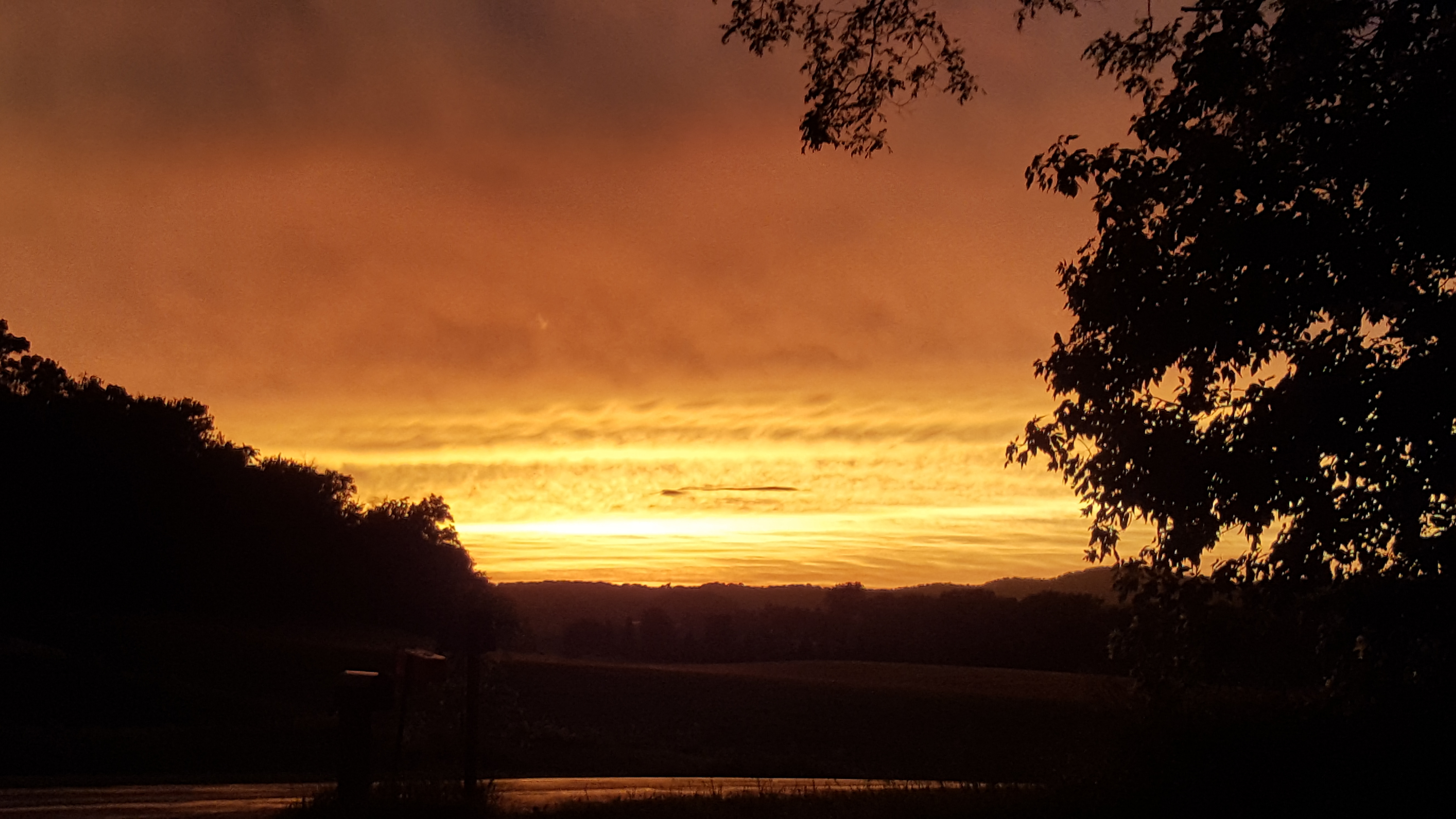 Doofy OnlyFans header