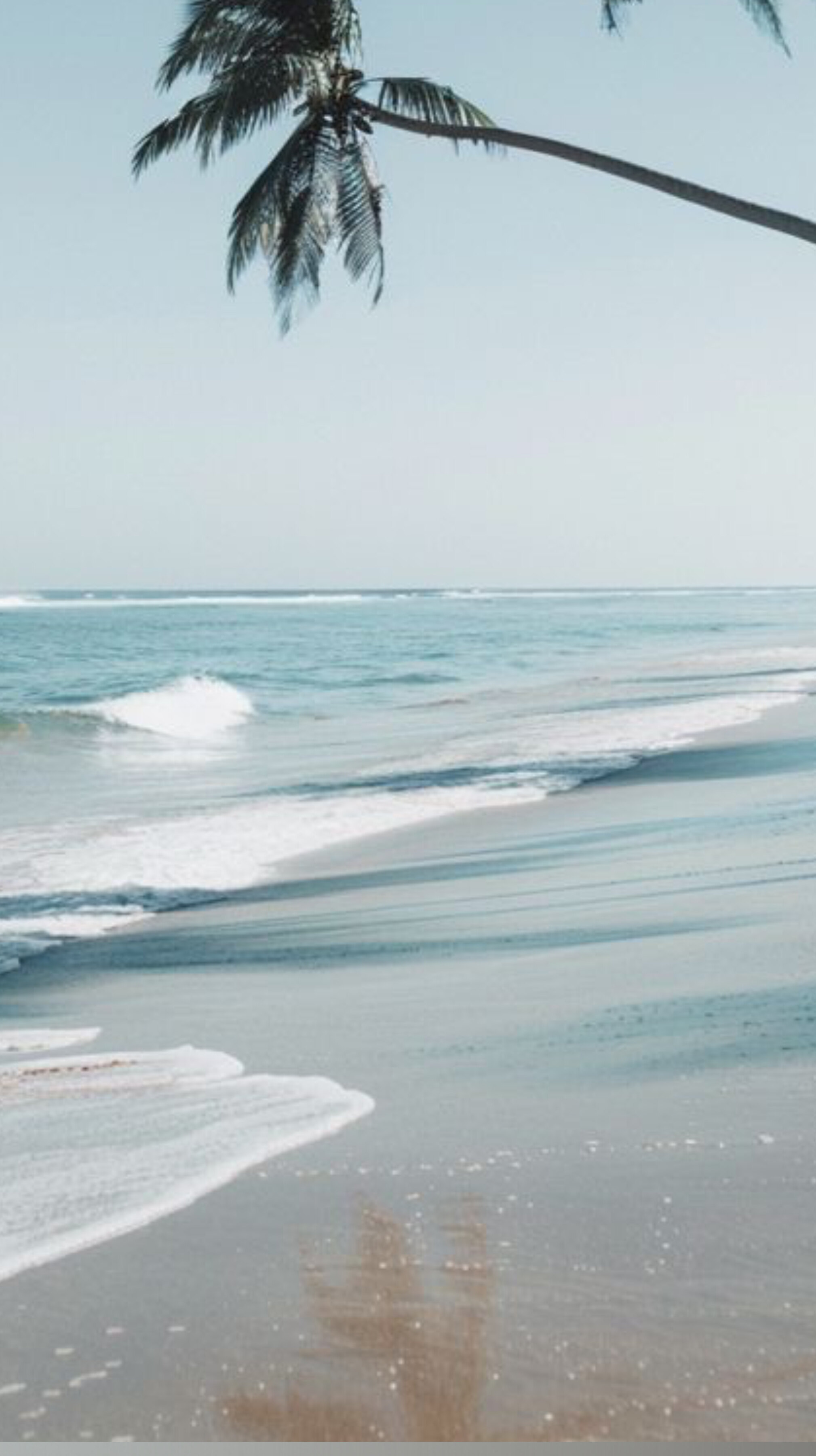 C. Foxx OnlyFans header