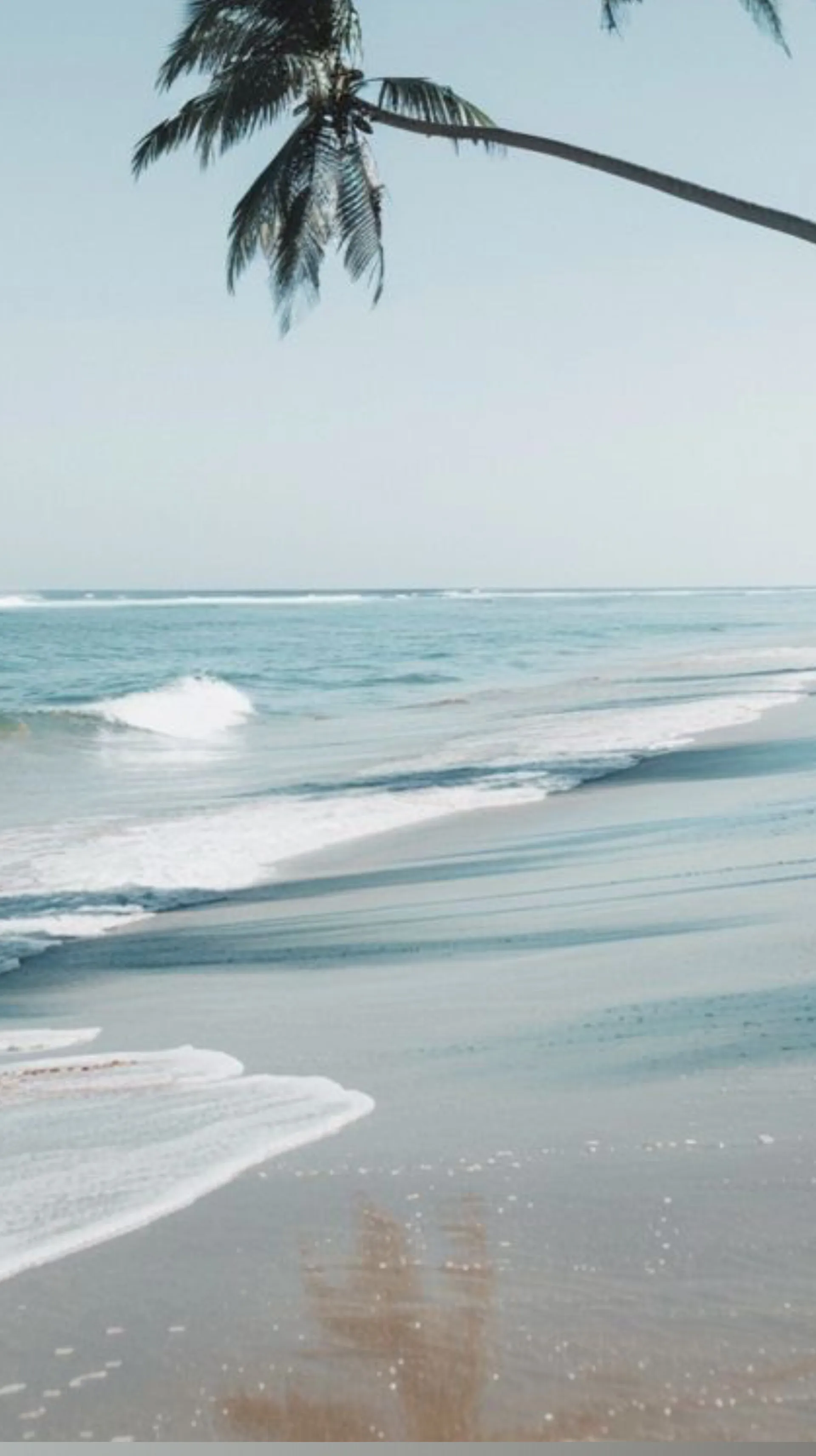 C. Foxx OnlyFans header