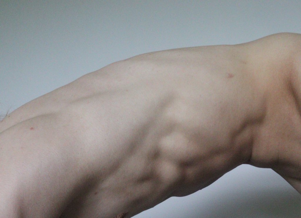 Serafemme OnlyFans header