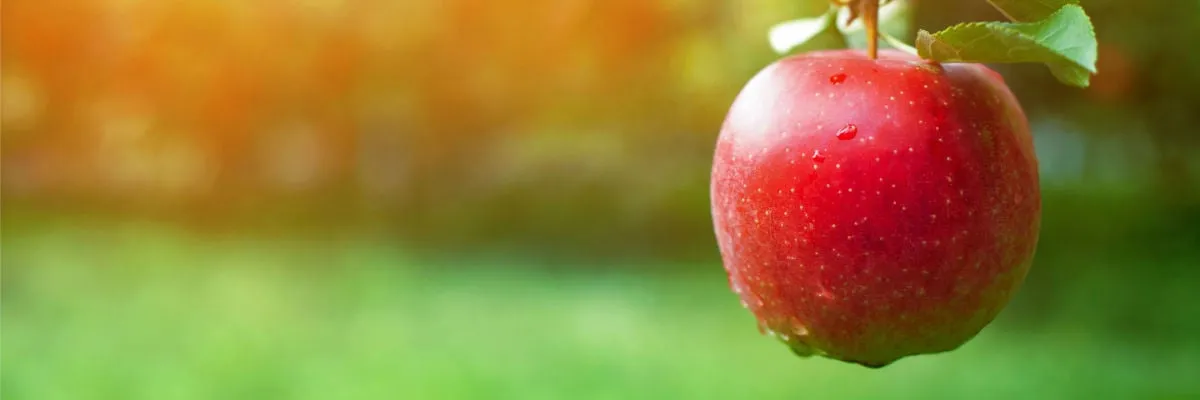 officeman7 OnlyFans header