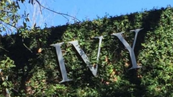 the only Ivy OnlyFans header