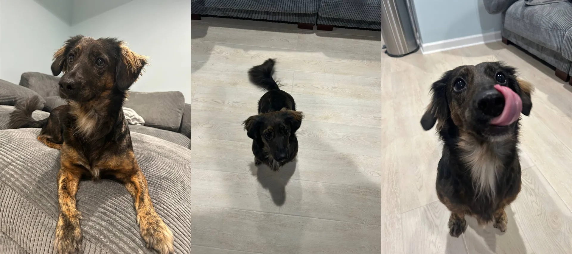 Official Smol OnlyFans header