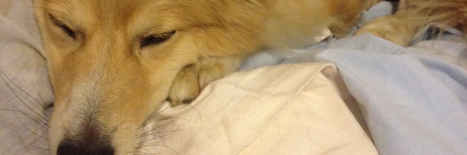 TGLOVESCOCK OnlyFans header