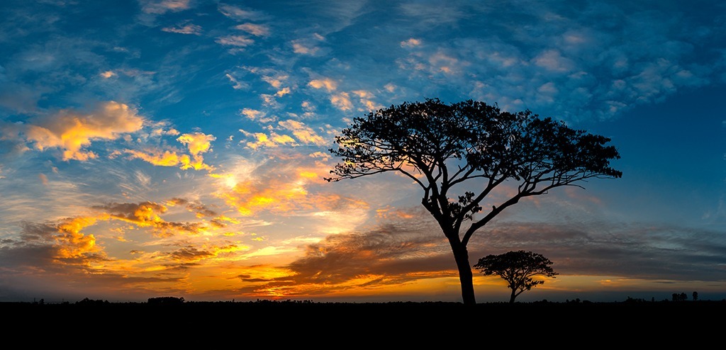 CutsieTosies OnlyFans header