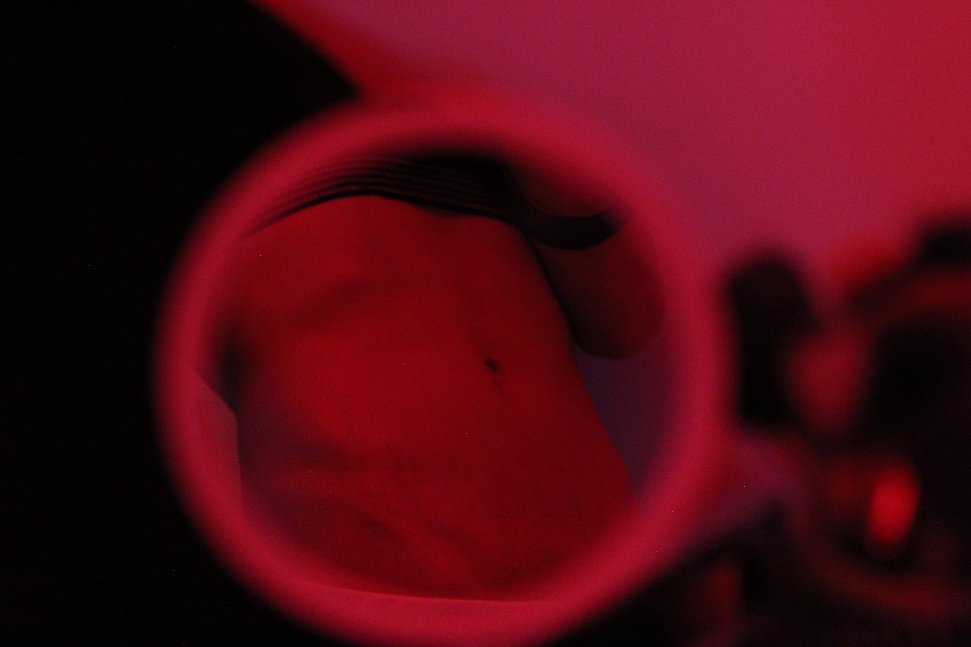 Emma Lym Moo OnlyFans header