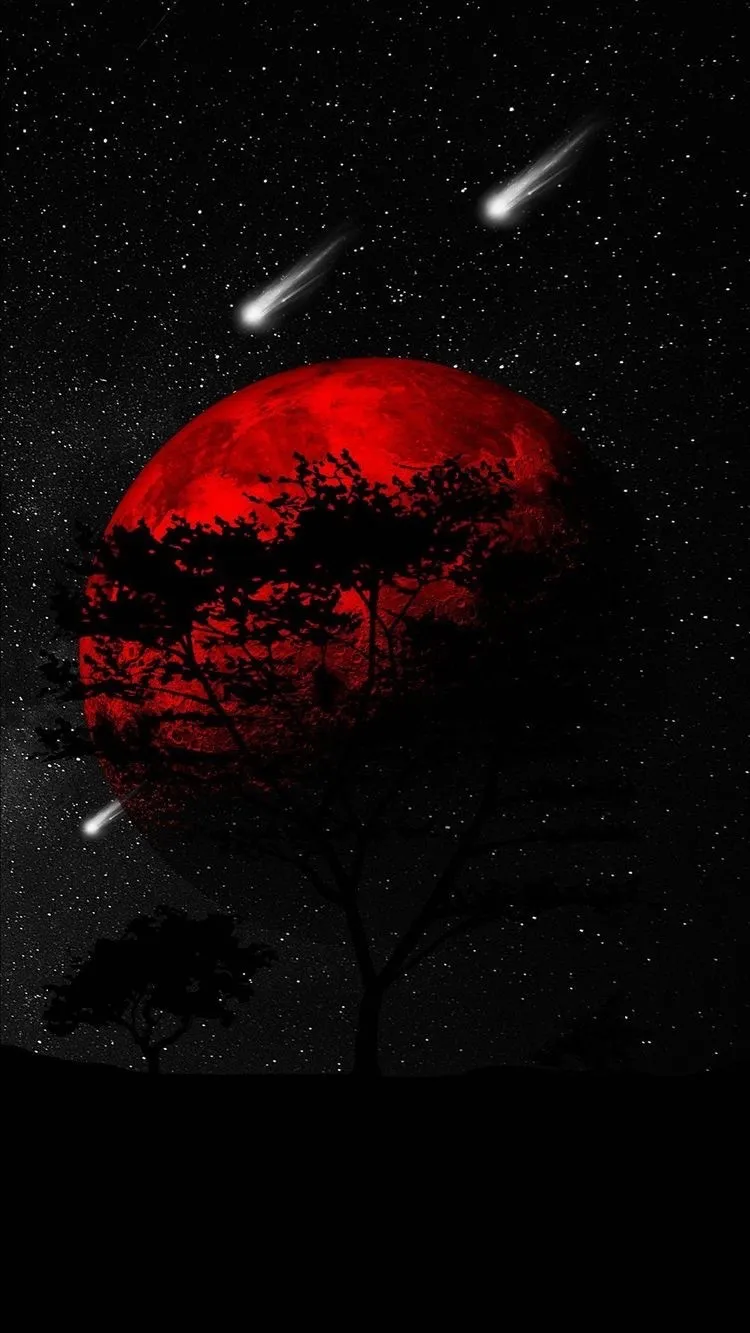 👑🏳️‍⚧️Alexis🏳️‍⚧️👑 OnlyFans header