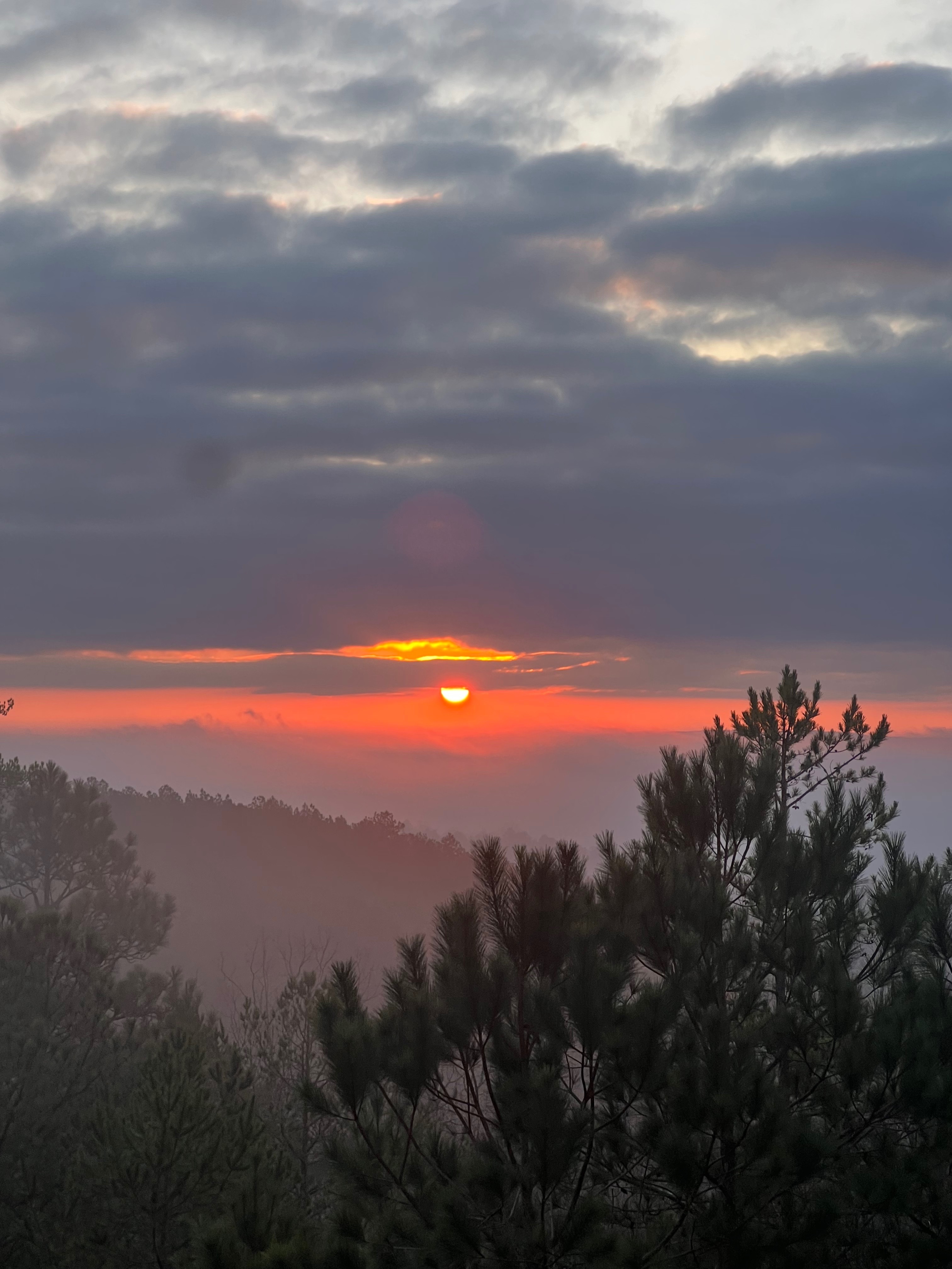 logan OnlyFans header