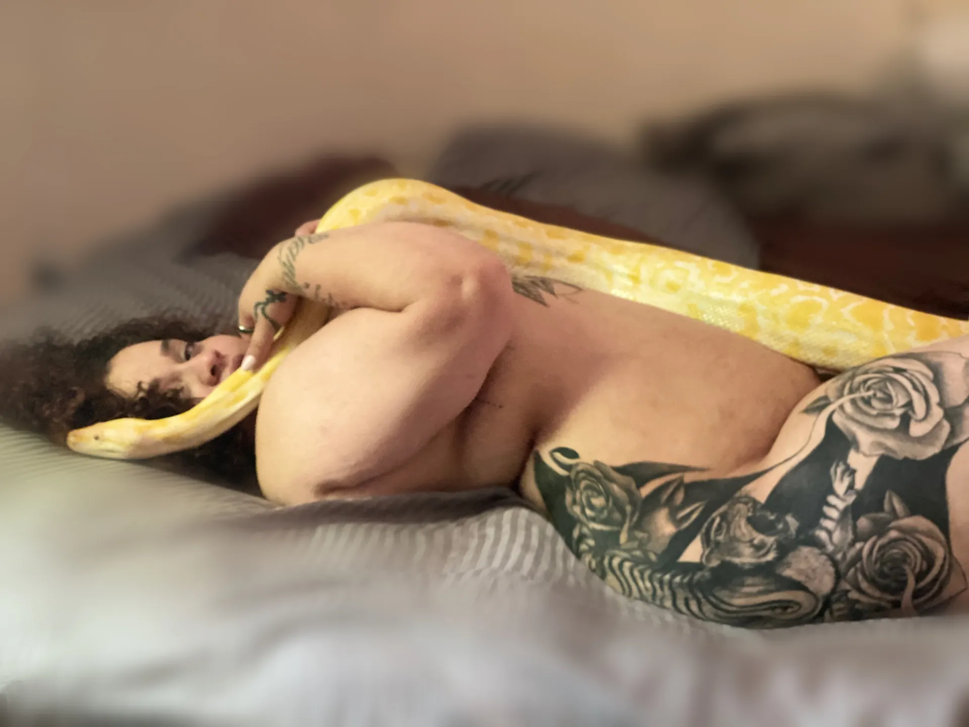 La Medusa OnlyFans header