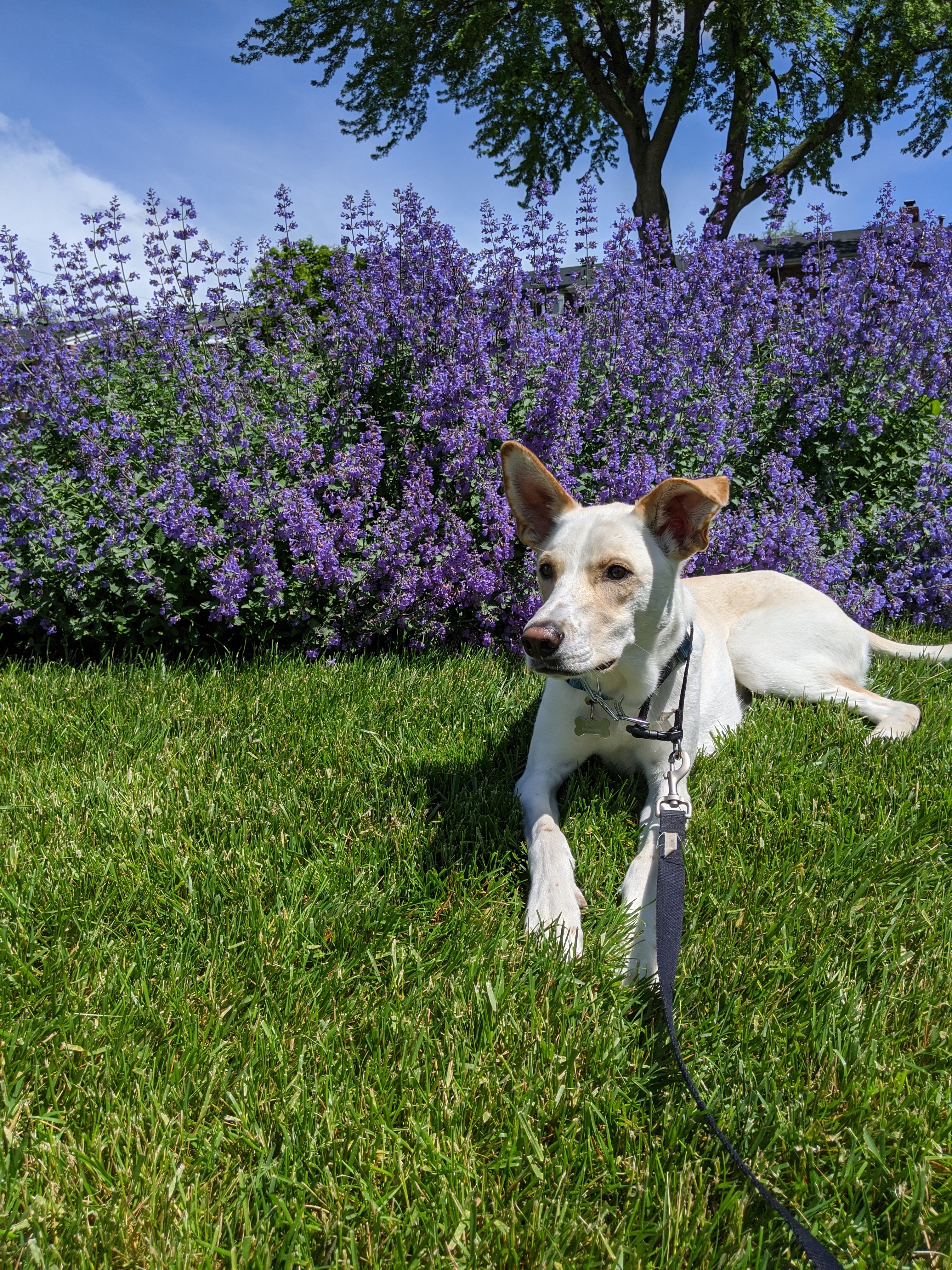 officiallywalle OnlyFans header