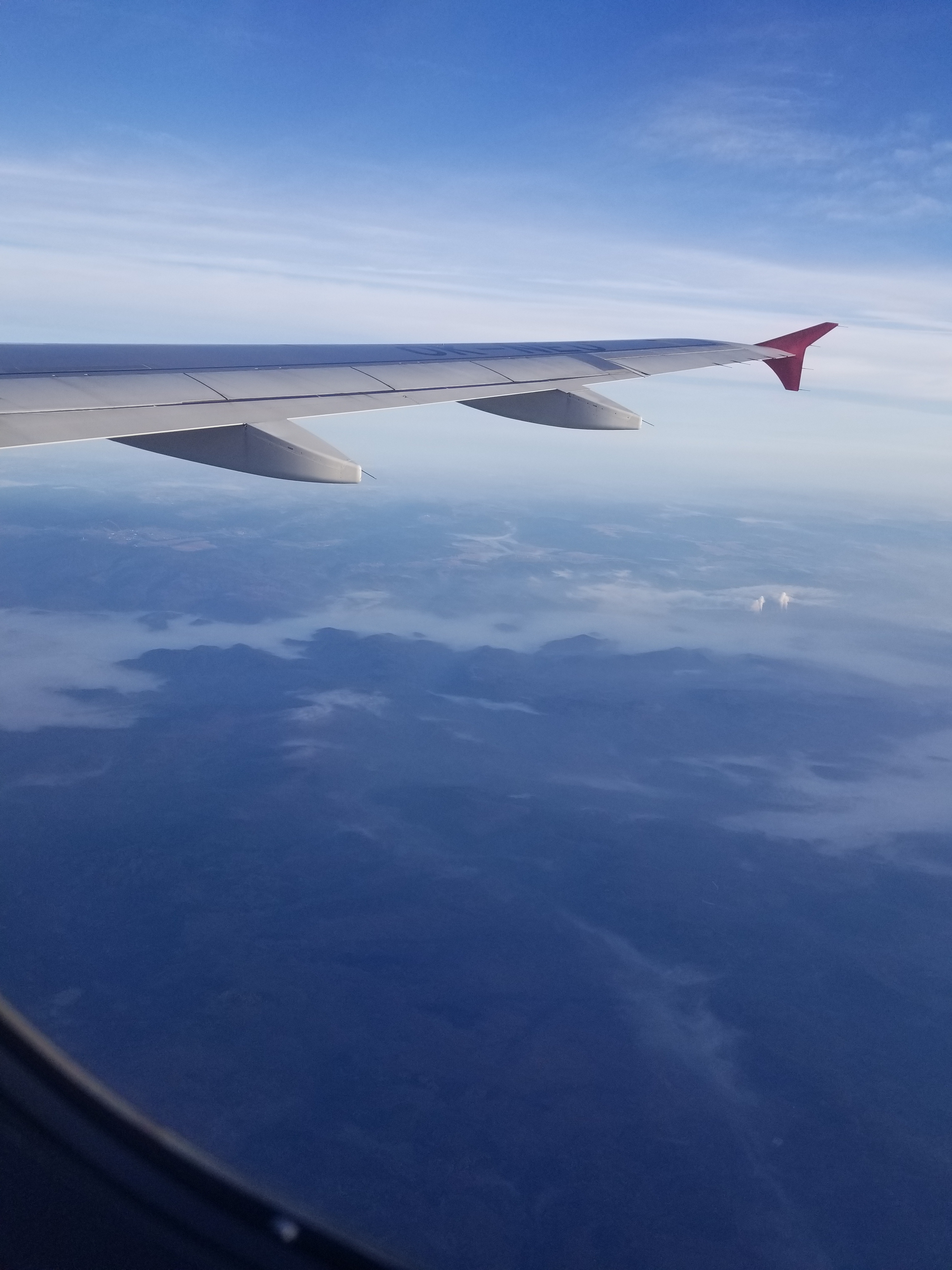 Panda OnlyFans header